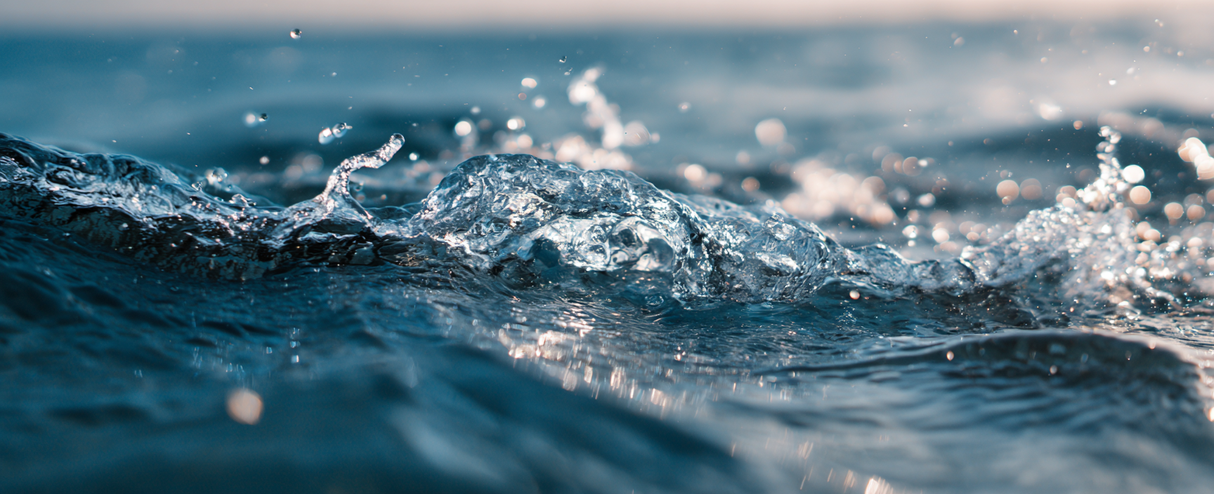 Prepper Water Storage Calculator