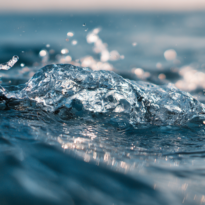Prepper Water Storage Calculator